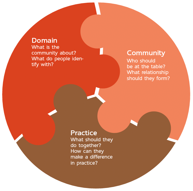 Figure 1.1 - Structural elements of a community of practice.